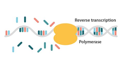 pcr test for omicron